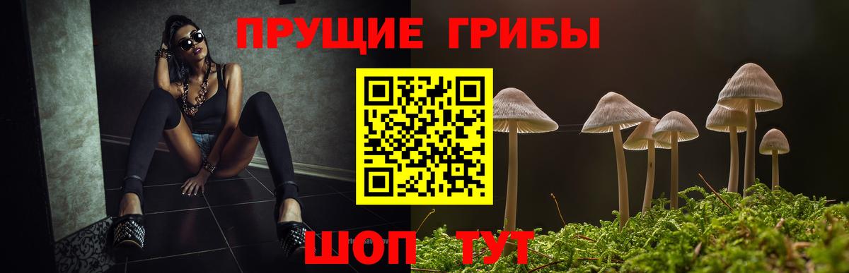 Псилоцибиновые грибы Psilocybine cubensis  Вход с VPN  Новошахтинск 